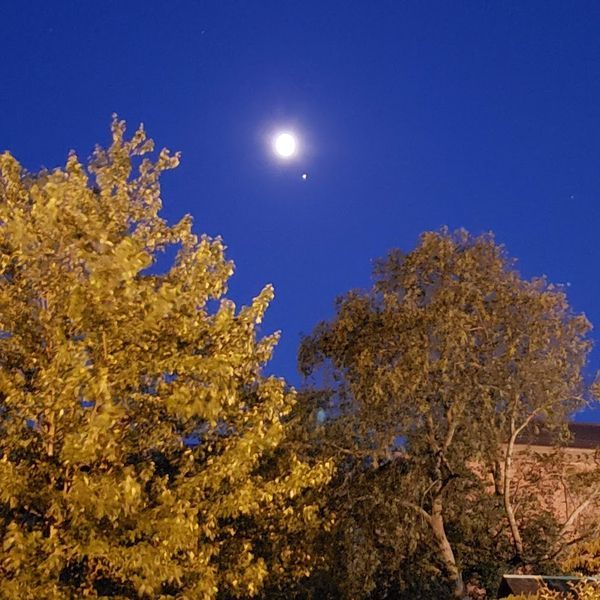 The Moon and Jupiter in the Sky over Salem